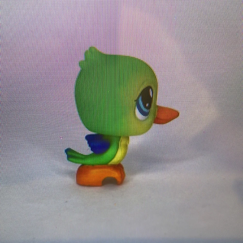 Colorful Bird Toy for Pets